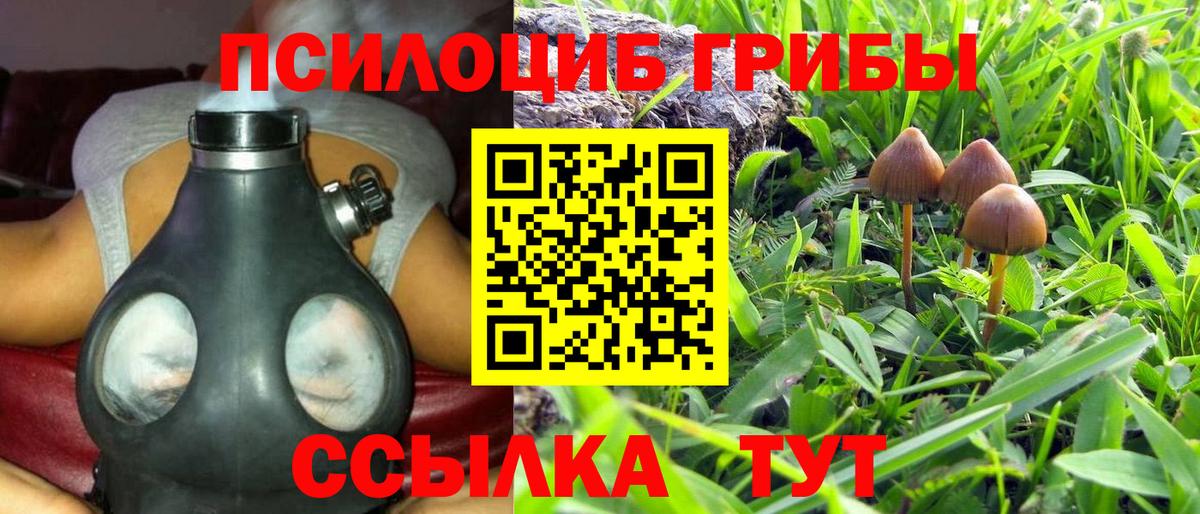 Галлюциногенные грибы ЛСД Павловский Посад